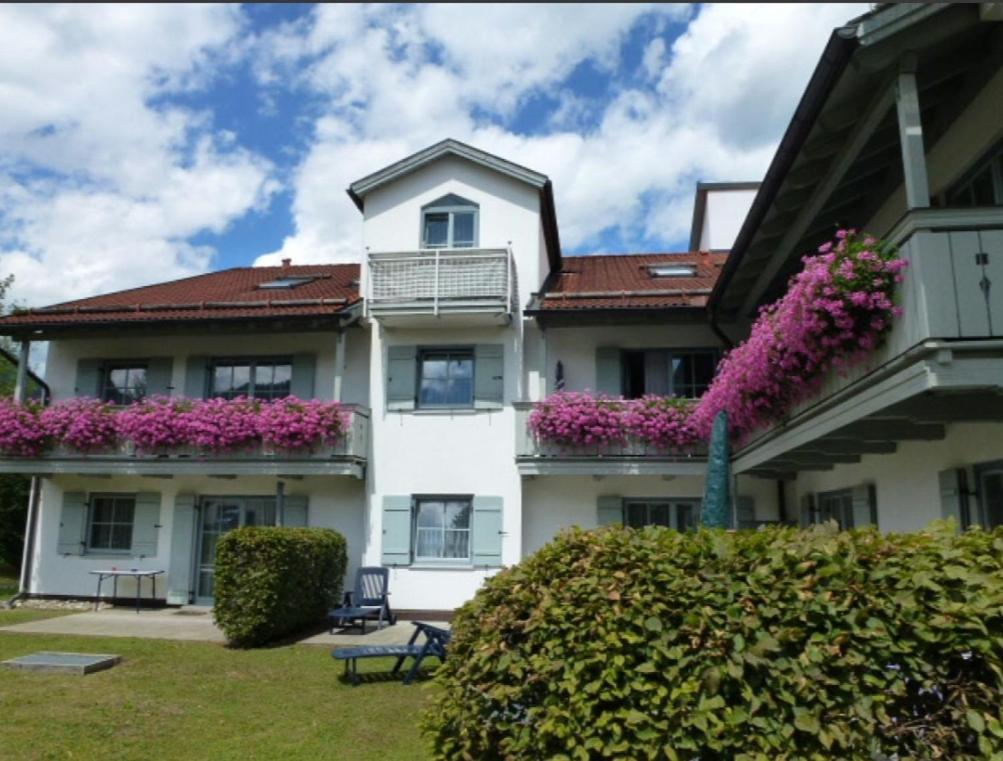 Ferienwohnanlage Bruennstein Wohnung 54 Oberaudorf Zewnętrze zdjęcie
